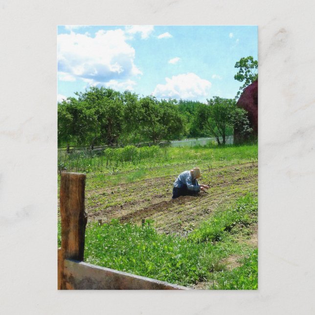 Postal Mujer Plantando Jardín Cerca Del Barn (Anverso)