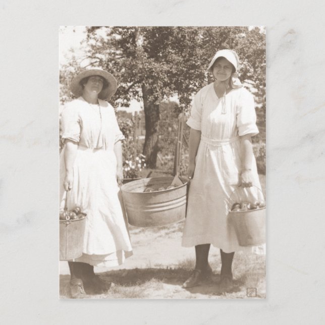 Postal Mujeres recogiendo manzanas (Anverso)