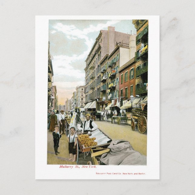 Postal Mulberry St., Nueva York (Anverso)