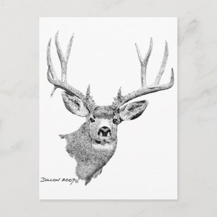 Postal Mule Deer