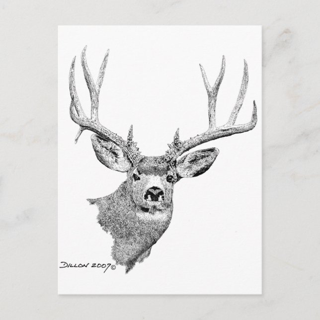 Postal Mule Deer (Anverso)
