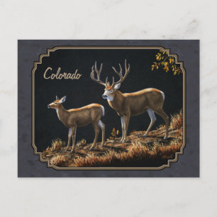 Postal Mule Deer Buck y Doe Gray Personalizado
