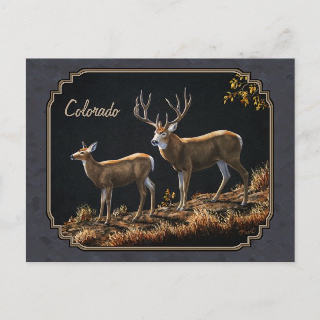 Postal Mule Deer Buck y Doe Gray Personalizado (Anverso)
