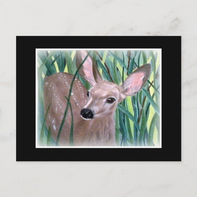 Postal Mule Deer Fawn (Anverso)
