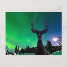 Postal Mule deer y Aurora borealis