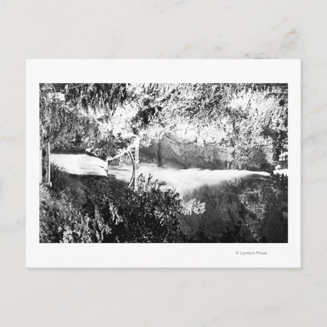 Postal Multnomah Falls PhotographColumbia River, OR (Anverso)