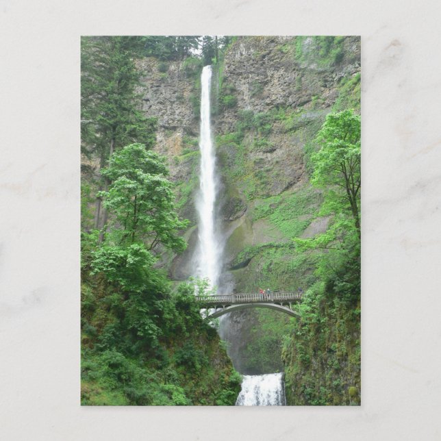Postal Multnomah Falls Postcard (Anverso)