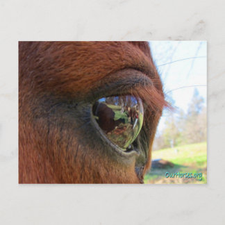 Postal mundial de Sundance