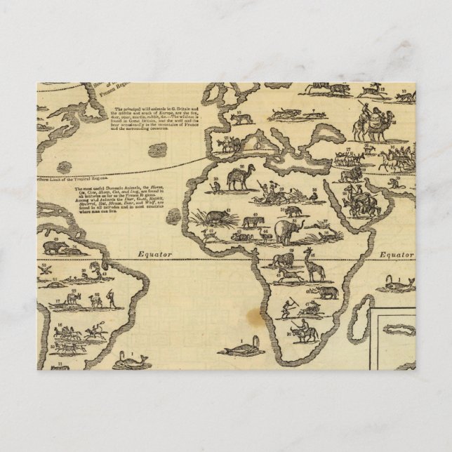 Postal Mundo de los Animales (Anverso)