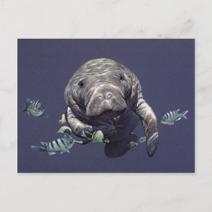 Postal Mundo subacuático del Manatee