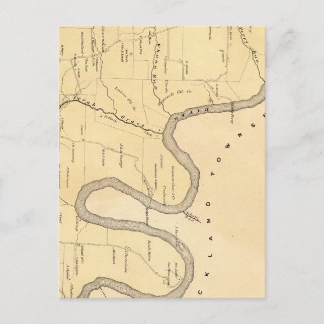 Postal Municipio de Scrub Grass (Anverso)