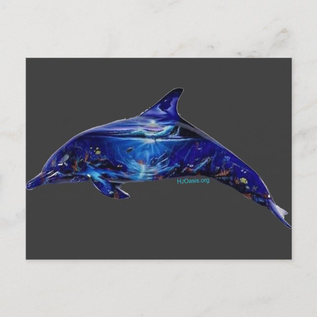 Postal Mural en delfín (Anverso)