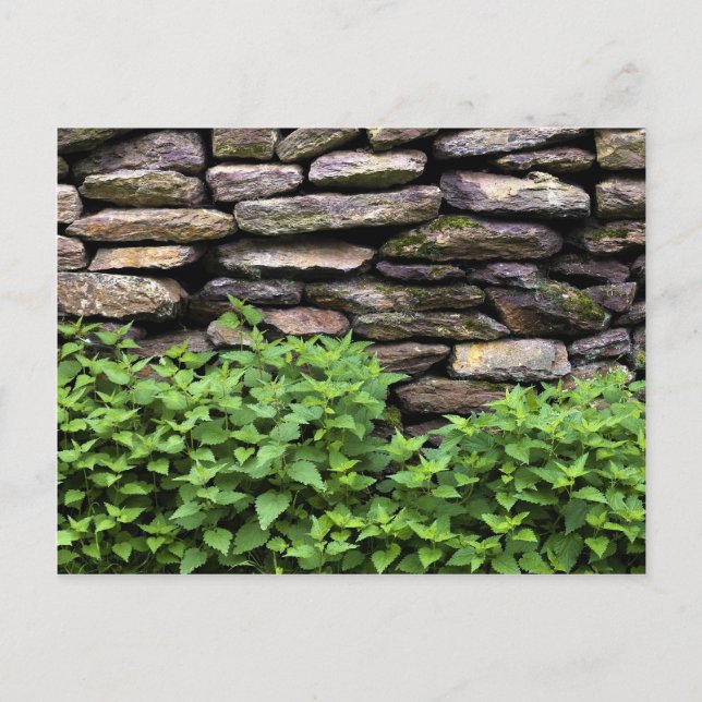 Postal Muro de piedra seca (Anverso)