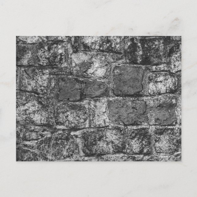 Postal Muro de roca (Anverso)