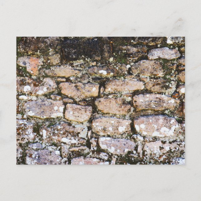 Postal Muro maya de ruinas (Anverso)