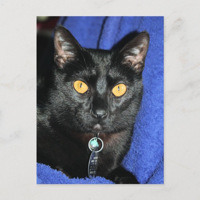 Postal Murphy (Anverso)