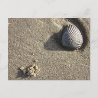 Postal Muschel