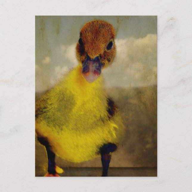 Postal Muscovy Dreamin' (Anverso)