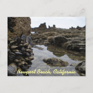 Postal Músculos de Newport Beach