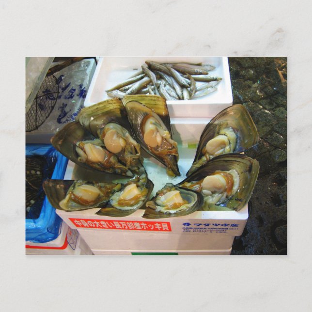 Postal Muselas gigantes Tsukiji Fish Market, Tokio, Japón (Anverso)