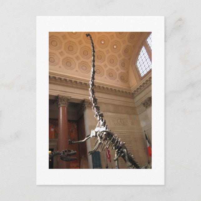 Postal Museo Americano de Historia Natural, NYC (Anverso)