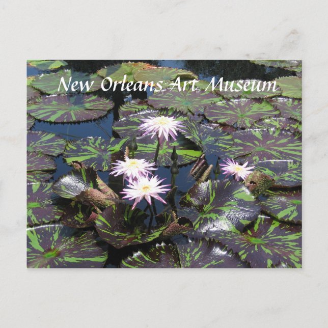 Postal Museo de Arte de Nueva Orleans (Anverso)