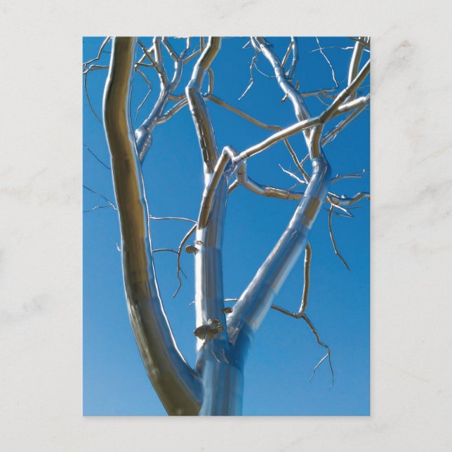 Postal Museo de Arte de San Luis (Anverso)