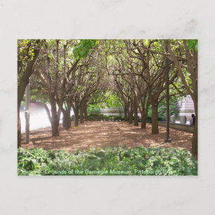 Postal Museo de Carnegie