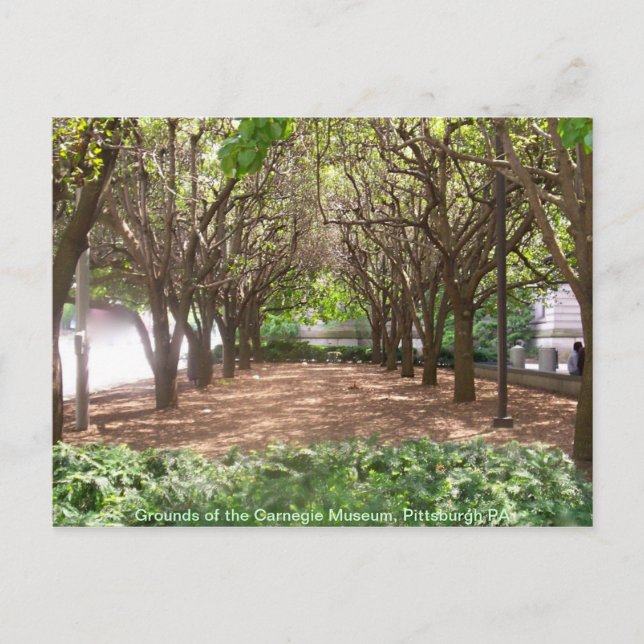 Postal Museo de Carnegie (Anverso)