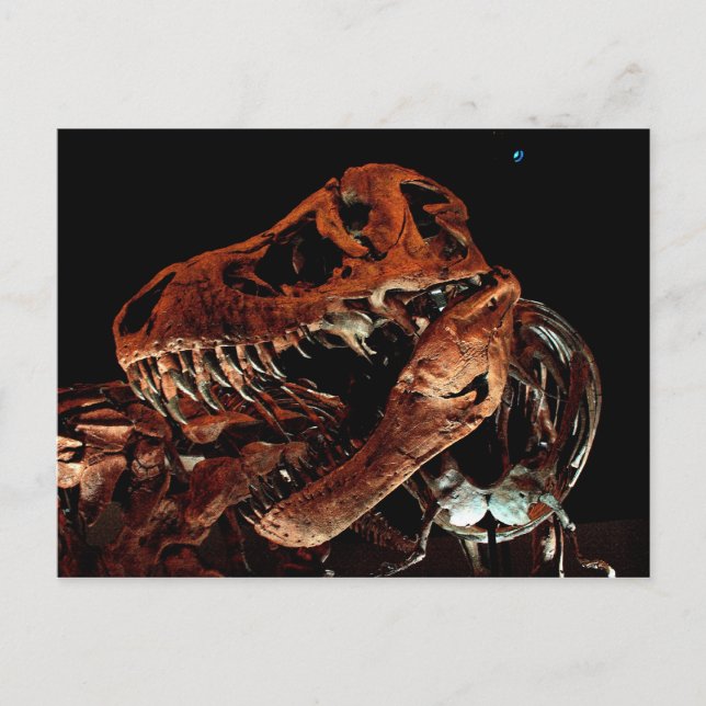 Postal Museo de Ciencias Naturales de Houston (Anverso)