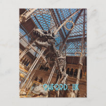 Museo de Historia Natural de Oxford Postcard T-Rex