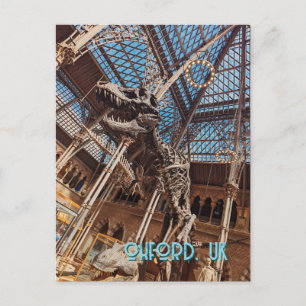 Postal Museo de Historia Natural de Oxford Postcard T-Rex