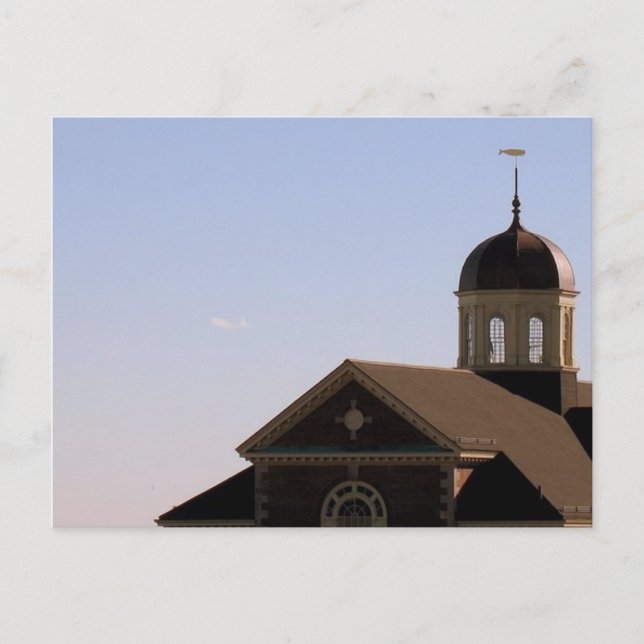 Postal Museo de la Ballena (Anverso)