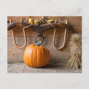 Postal Museo de los agricultores. Calabaza en granero con