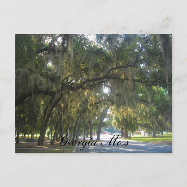 Postal Musgo de Georgia (Anverso)
