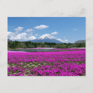 Postal musgo rosa y el monte Fuji en el fondo