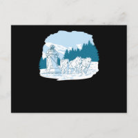 Mushing Sled Dog Carreras Husky Sledding