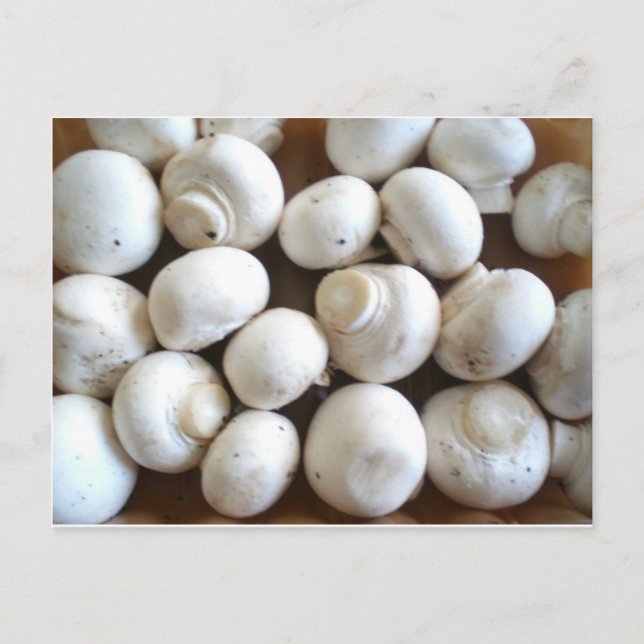 Postal Mushroom (Anverso)