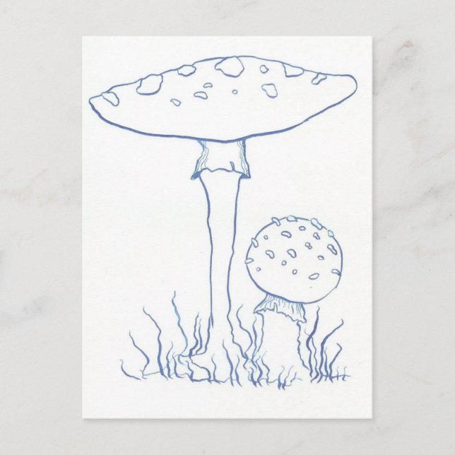 Postal Mushrooms azules (Anverso)