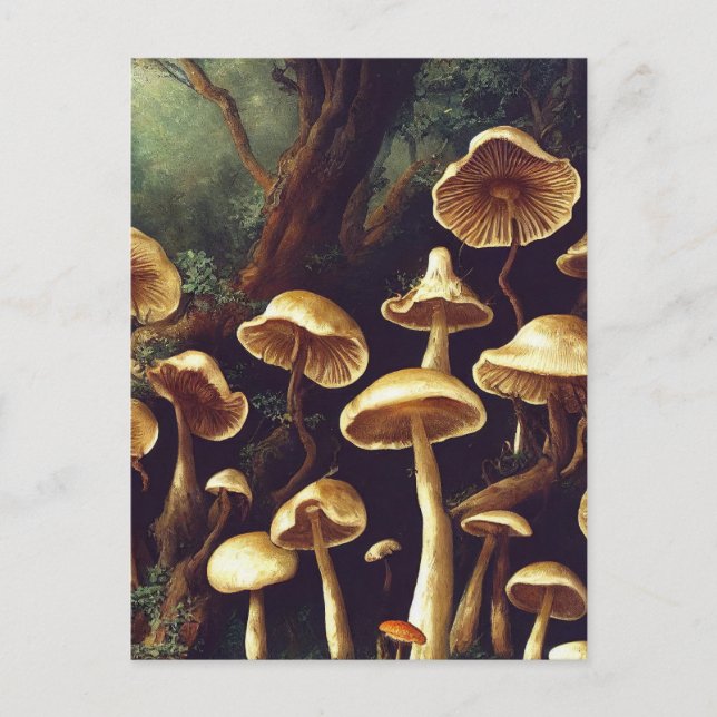 Postal Mushrooms vintage (Anverso)
