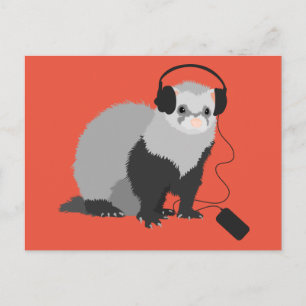 Postal Music Lover Ferret