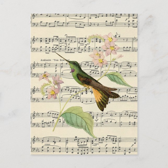 Postal música de colibrí botánica vintage postcard (Anverso)