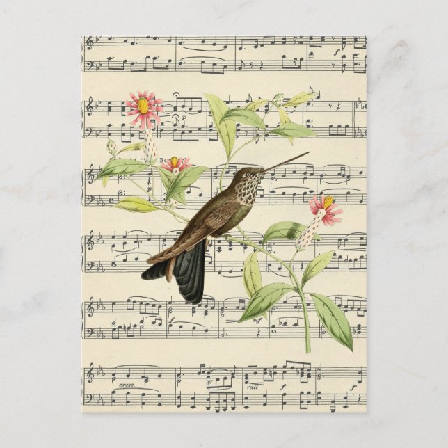 Postal música de colibrí botánica vintage postcard (Anverso)