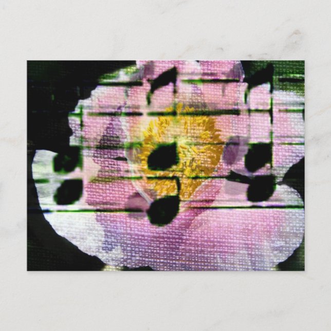 Postal Música de disquete (Anverso)