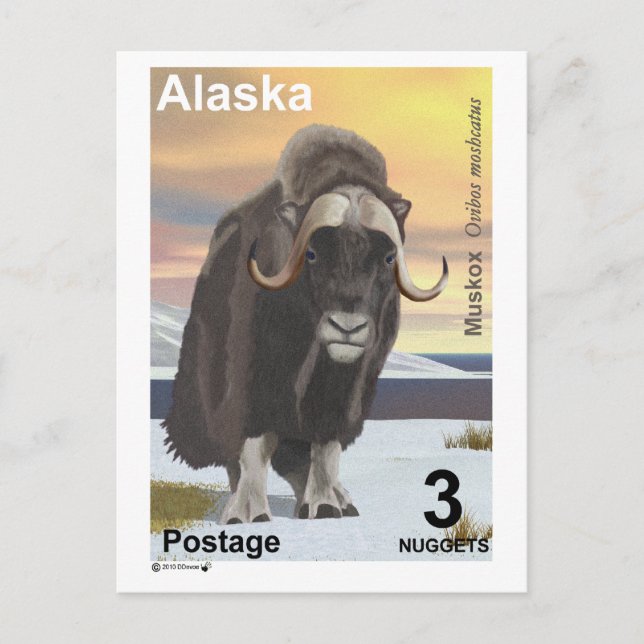 Postal Muskox (Anverso)