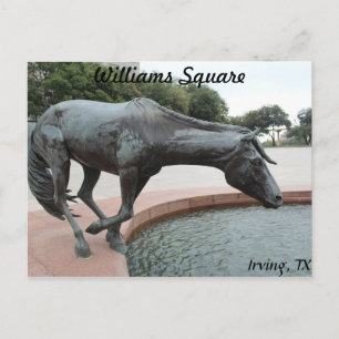 Postal Mustangs de Las Colinas #1