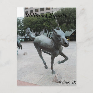 Postal Mustangs de Las Colinas #11