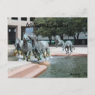 Postal Mustangs de Las Colinas #12