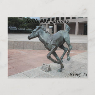 Postal Mustangs de Las Colinas #13