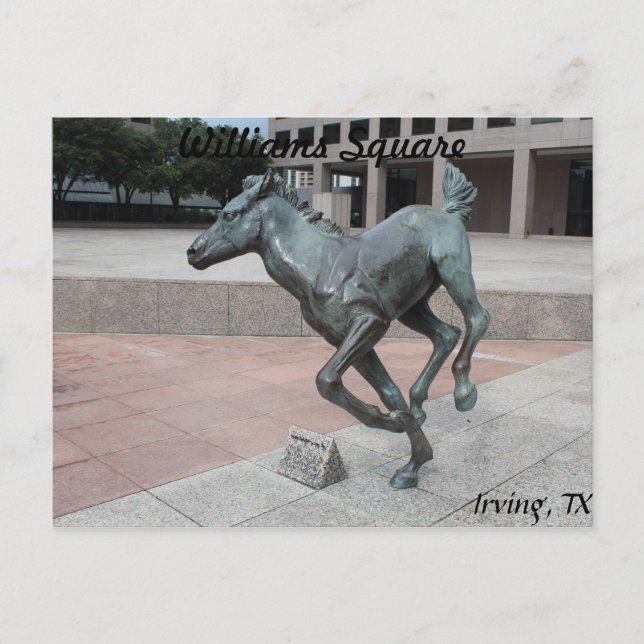Postal Mustangs de Las Colinas #13 (Anverso)